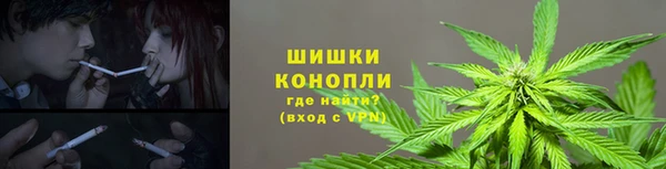 спиды Лиски