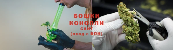 спиды Лиски